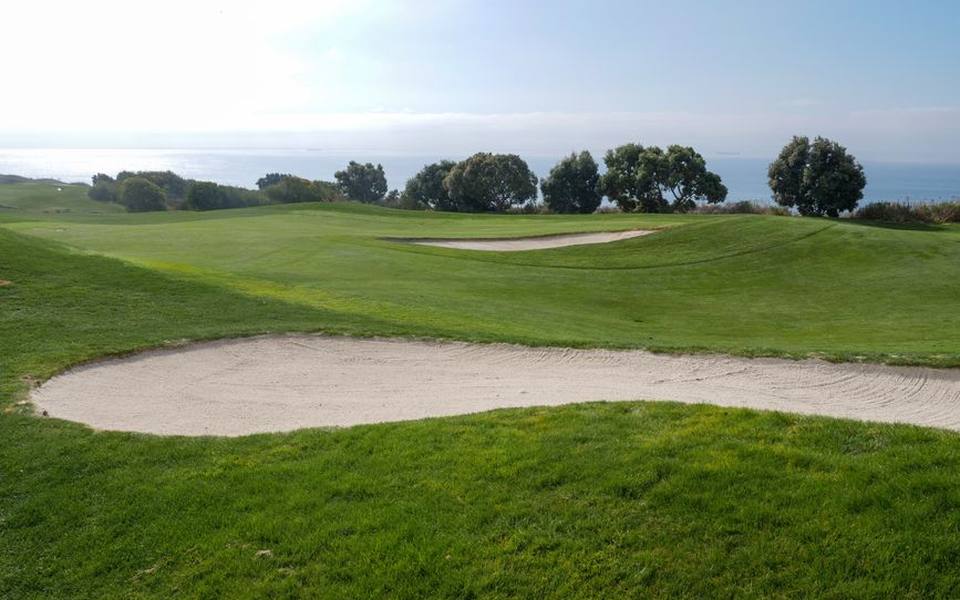 Cutting, Seaming, and Infilling Outdoor Greens
